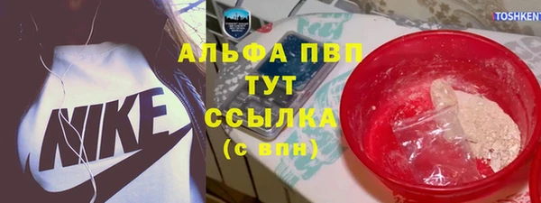 PSILOCYBIN Заволжье