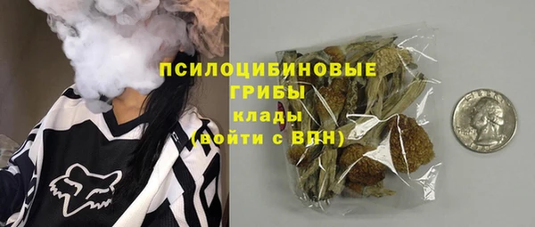 а пвп мука Елабуга