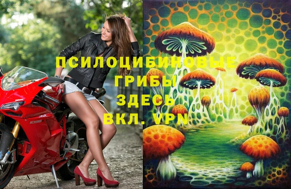стафф Елизово