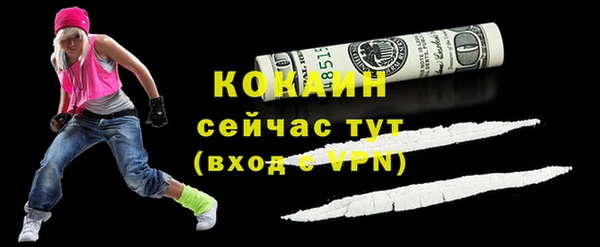 МДПВ Заводоуковск