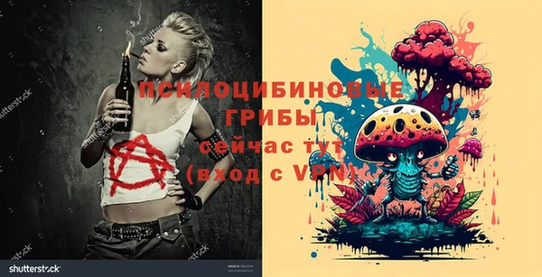 бутират Ельня