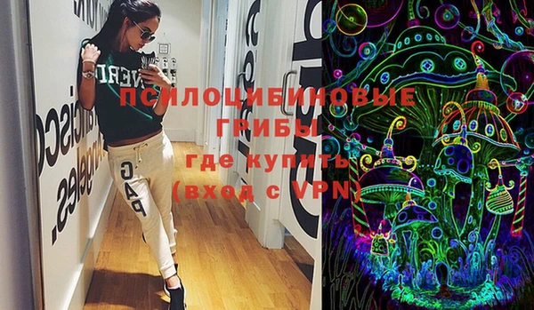 стафф Елизово